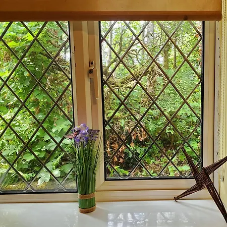 On The Bog With Secret Fairy Circle Homestay *