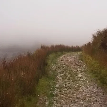 On The Bog With Secret Fairy Circle * Tubbercurry