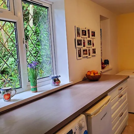 On The Bog With Secret Fairy Circle Homestay